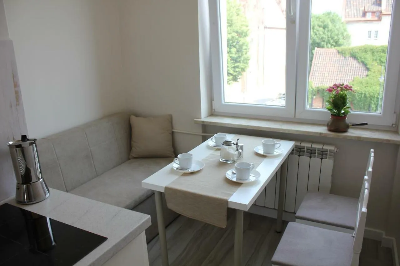 Apartment Ferienwohnung With Great Mill Danzig